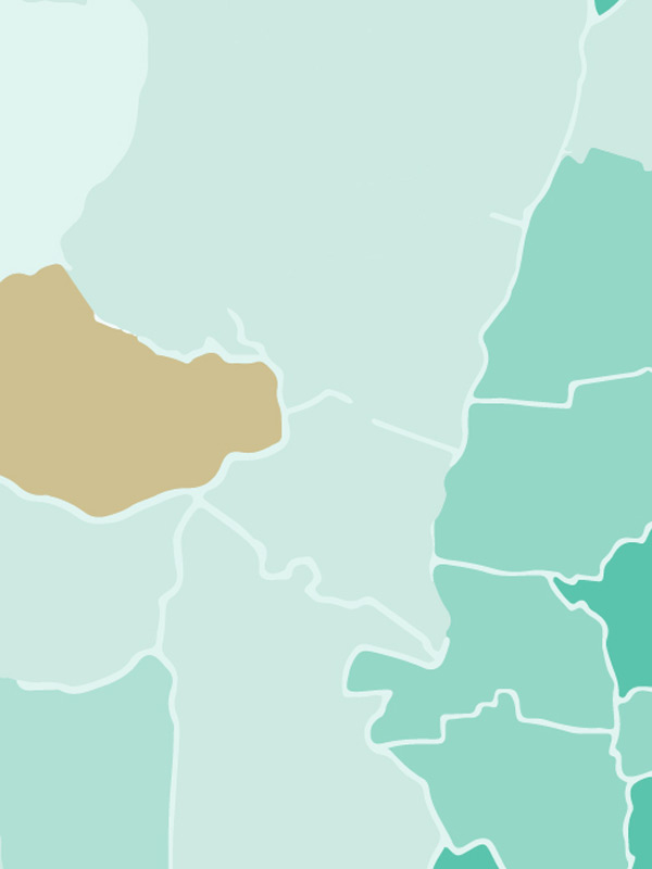 ’habitatge-a-la-metròpoli-de-Barcelona-en-el-2022